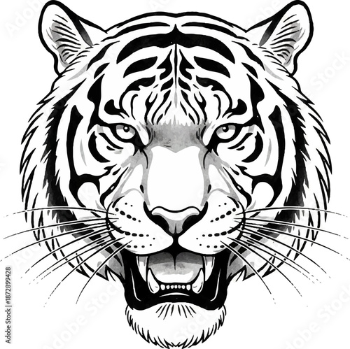 Tiger head drawing with clear lines and strong features showcasing the animals fierce expression and characteristic markings