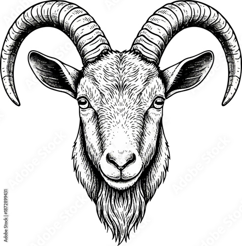 A black and white sketch of a goat head highlights the long horns, beard, and facial features. The design captures the texture of the fur and the shape of the head.