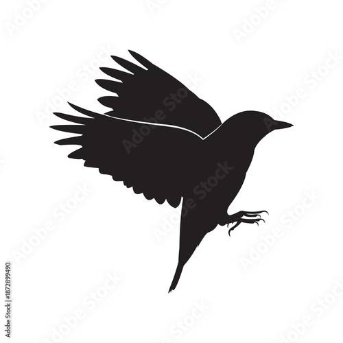 Vector silhouette of flying bird isolated white background