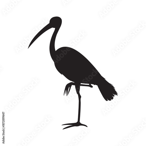 Vector silhouette of stork isolated white background