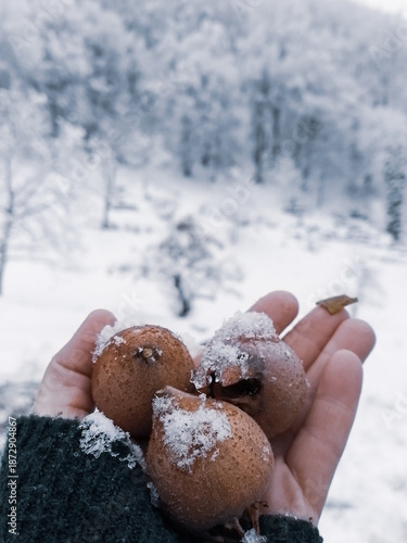 hands holding christmas cookies