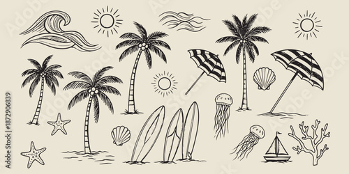 vector illustration of a palm trees
