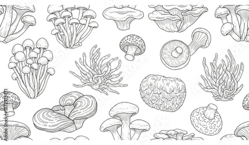 Asian medicinal mushrooms seamless pattern black and white vector
