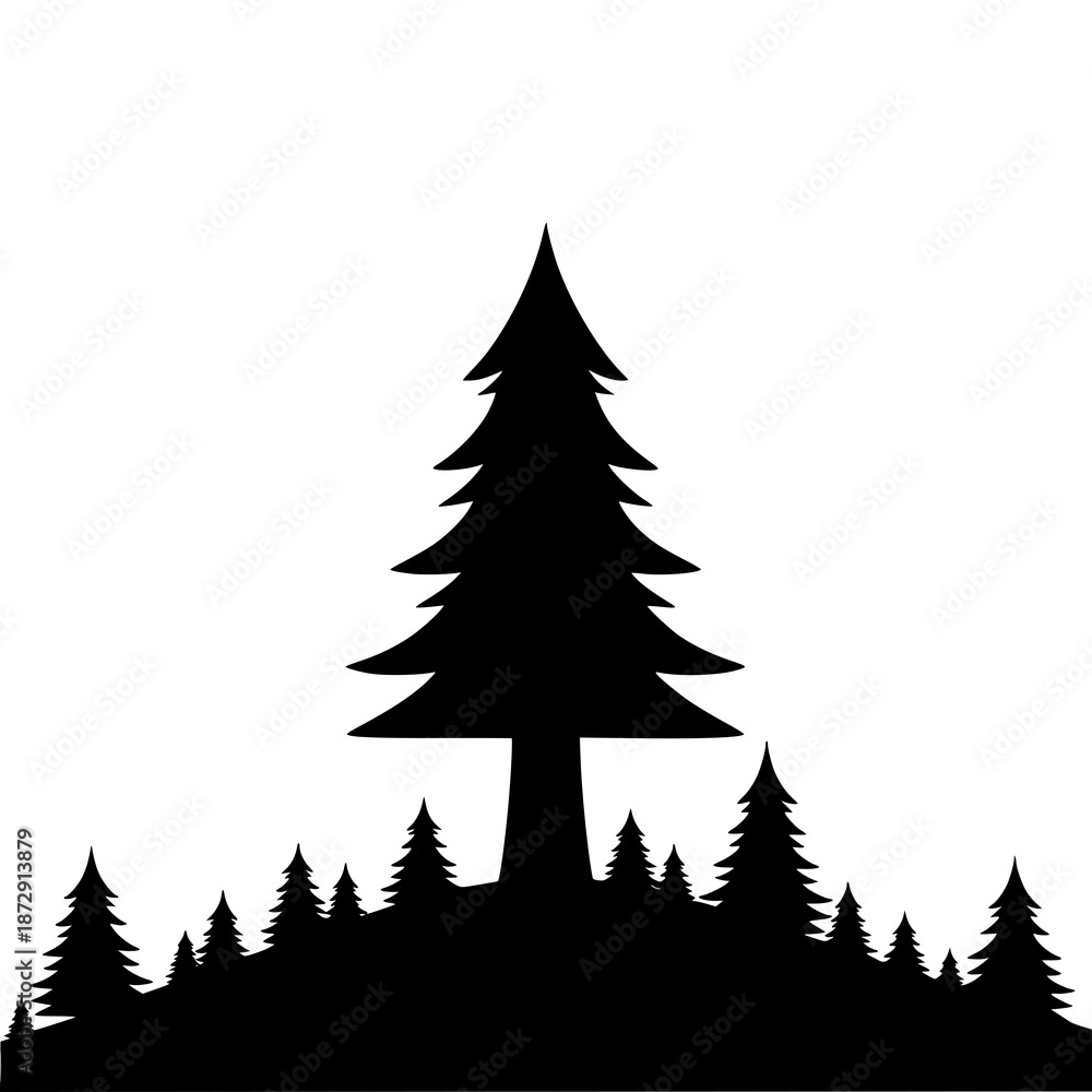 Obraz premium Silhouette of pine trees in forest landscape