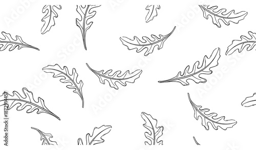 Cute doodle arugula leaves seamless pattern vector