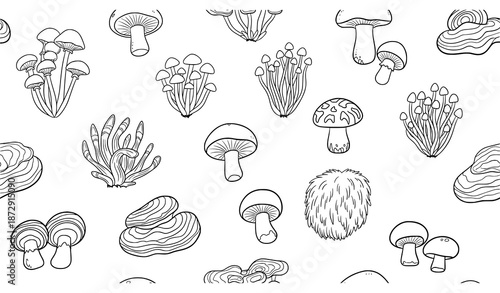 Black and white doodle mushroom seamless pattern medicinal fungi
