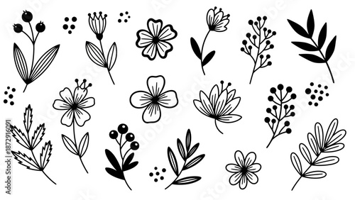 A collection of hand-drawn botanical illustrations featuring various flowers, leaves, and berries in a simple black and white line art style.