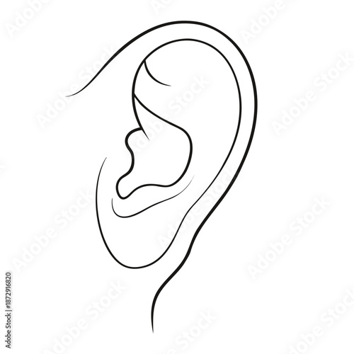 Illustration of a human ear