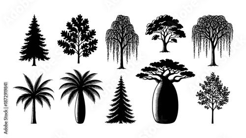 A diverse collection of black silhouette tree illustrations, showcasing various species like pine, oak, palm, and baobab, perfect for graphic design elements.