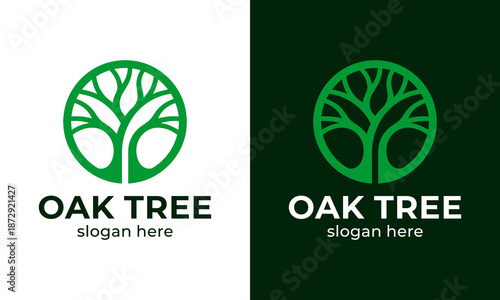 Abstract oak tree logo design concept vector template illustration with Line style symbol graphic icon