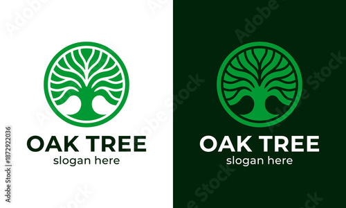 Abstract oak tree logo design concept vector template illustration with Line style symbol graphic icon