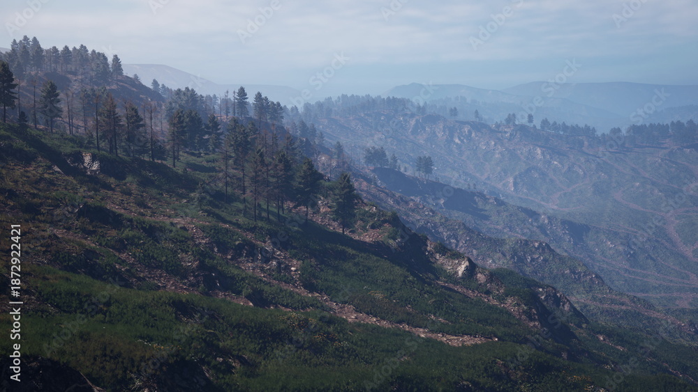 Fototapeta premium Rolling hills stretch across the horizon, showcasing the aftermath of a forest fire. New green foliage peeks through as nature begins its journey of regeneration under a bright sky.