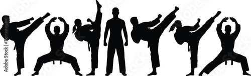 Martial arts silhouettes collection featuring male and female fighters performing karate kicks stances and professional training poses isolated on white background