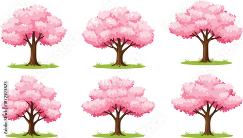 Set of pink cherry blossom trees vector illustration with green grass, isolated on white background for spring season decoration design