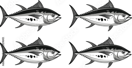 Tuna fish vector illustration set, marine life animal, fresh seafood catch, hand drawn sketch style, black and white design, ocean nature.