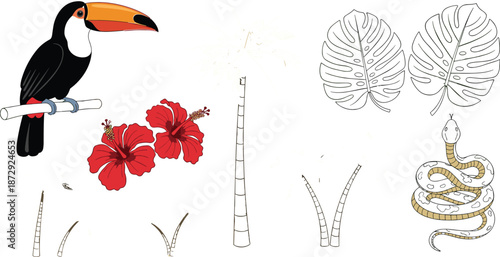 Tropical jungle vector set, toucan bird, red hibiscus flower, monstera leaf, palm tree, exotic snake, rainforest nature, summer wildlife, illustration.