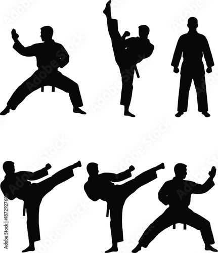 Set of Martial Arts Silhouettes Featuring Karate and Taekwondo Fighters Performing High Kicks, Defensive Blocks, and Powerful Combat Stances on White