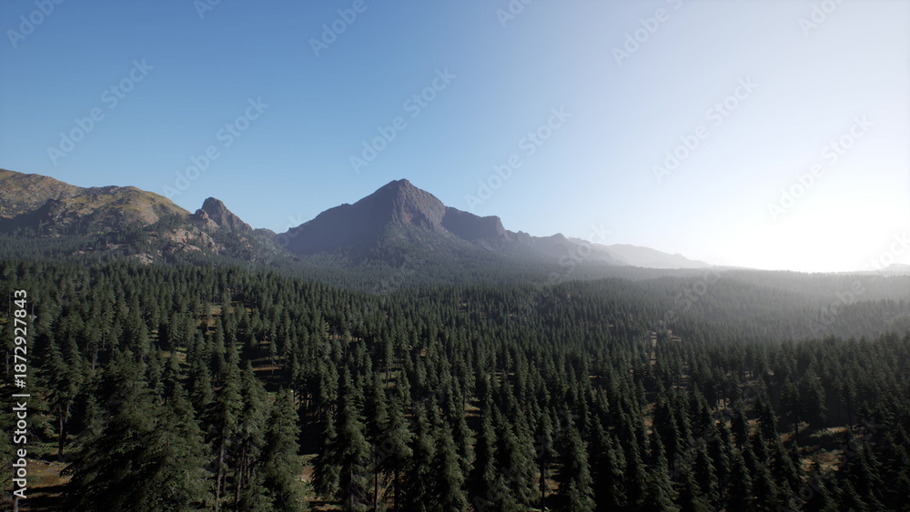 Obraz premium A breathtaking view of towering mountains surrounded by an expanse of verdant trees under a clear blue sky. Sunlight gently warms the landscape, creating a peaceful atmosphere.