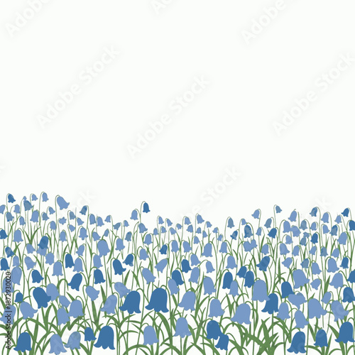 Field of blue bluebell flowers illustration