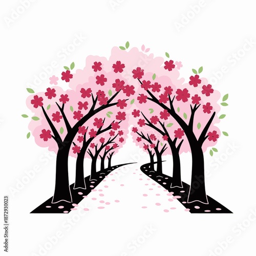 Pink cherry blossom trees lining pathway
