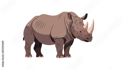 Illustration of a rhinoceros with two horns on a white background