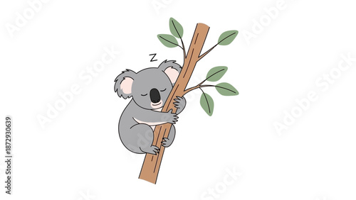 Cute koala sleeping on a tree branch