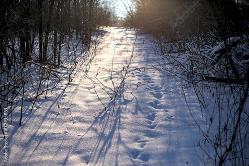 A typical Ukrainian winter scene