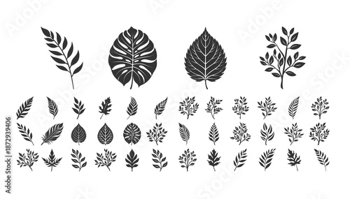 Leaf Collection Illustration: A meticulously crafted collection of intricate leaf illustrations, showcasing a variety of shapes and textures, presented in a monochrome palette for a timeless.