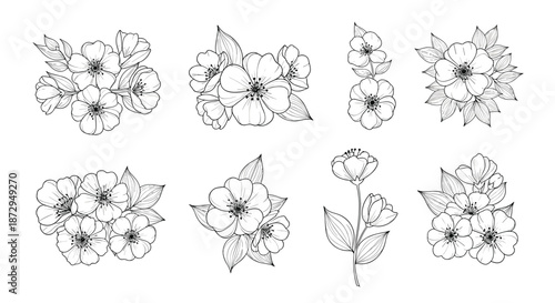Collection of delicate hand-drawn floral sketches and small bouquets in an elegant black and white botanical illustration style.