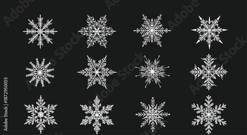 Set of twelve unique white snowflake designs illustrated on a dark black background for winter and holiday season theme projects.