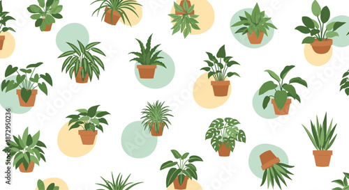 Variety of green indoor house plants in terra cotta pots arranged in a seamless pattern with soft pastel circle backgrounds.