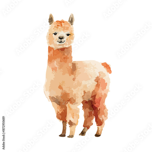 Cute Watercolor Alpaca Animal Illustration.