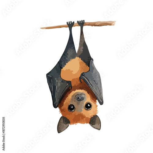 Cute Watercolor Bat Hanging Upside Down on Branch Illustration.