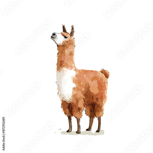 Cute Watercolor Llama Illustration Standing.