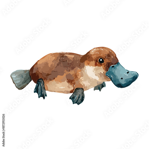 Cute Watercolor Platypus Illustration Unique Australian Wildlife Vector Art.