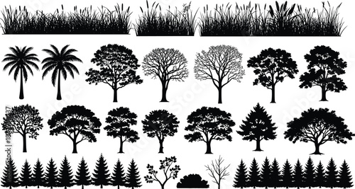 Tree silhouette set with palm pine forest and grass landscape for architectural cad drawing flat vector illustration nature background design