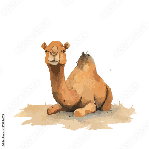 Desert Camel Resting Watercolor Illustration.