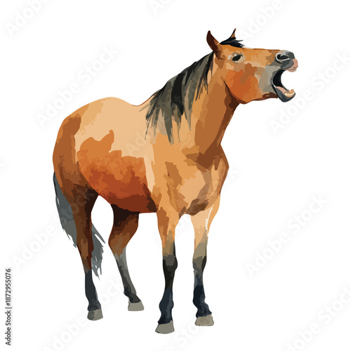 Dynamic Horse Vector Illustration Neighing Whinnying.