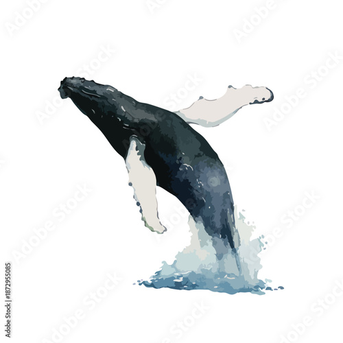 Dynamic Humpback Whale Breaching Vector Illustration.