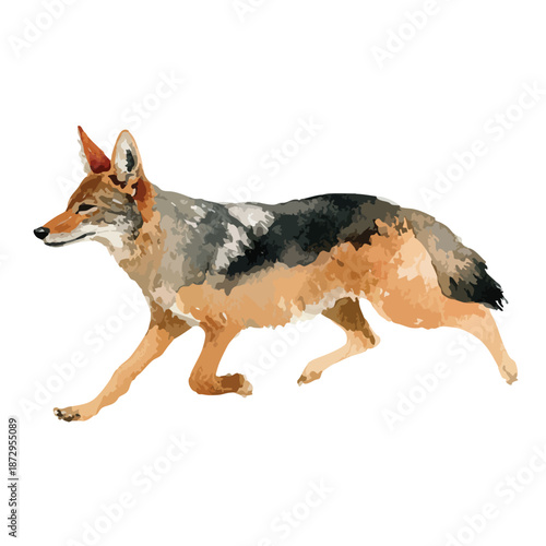 Dynamic Jackal Running Vector Illustration Wild African Canine.