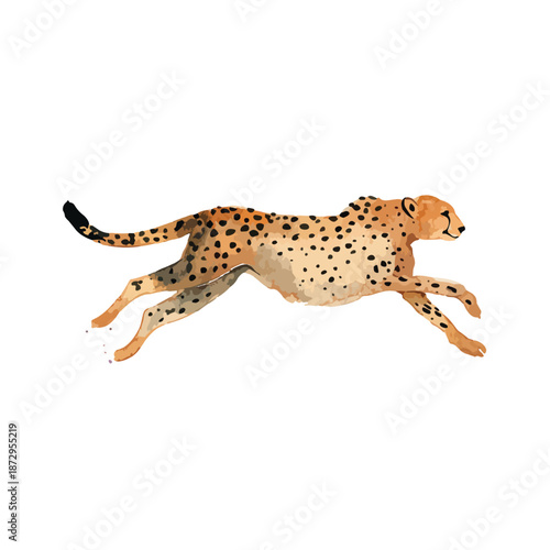 Dynamic Running Cheetah Watercolor Illustration 2.