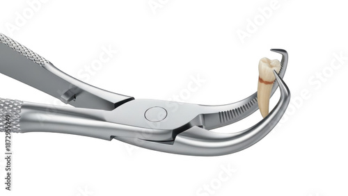 Wallpaper Mural Dental extraction forceps holding a single human tooth with a reddish band isolated on a transparent background Torontodigital.ca