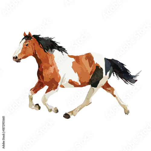 Dynamic Running Pinto Horse Vector Illustration.