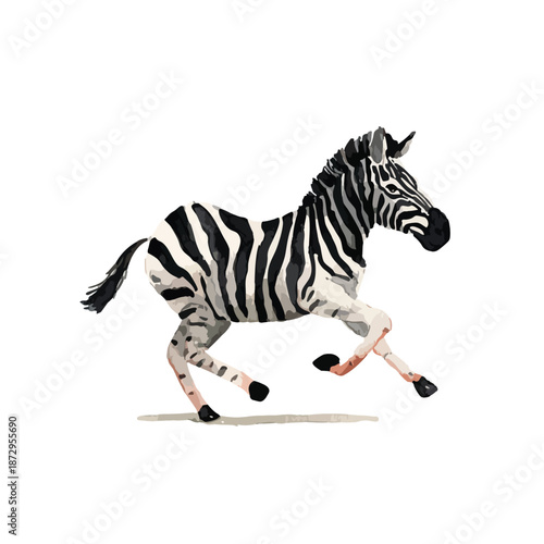 Dynamic Running Zebra Illustration African Wildlife Animal.