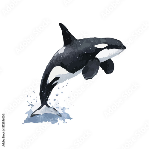 Dynamic Watercolor Orca Jumping Out of Water Splash.