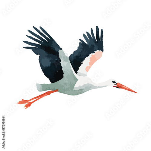 Elegant Flying Stork Bird Illustration with Spread Wings.