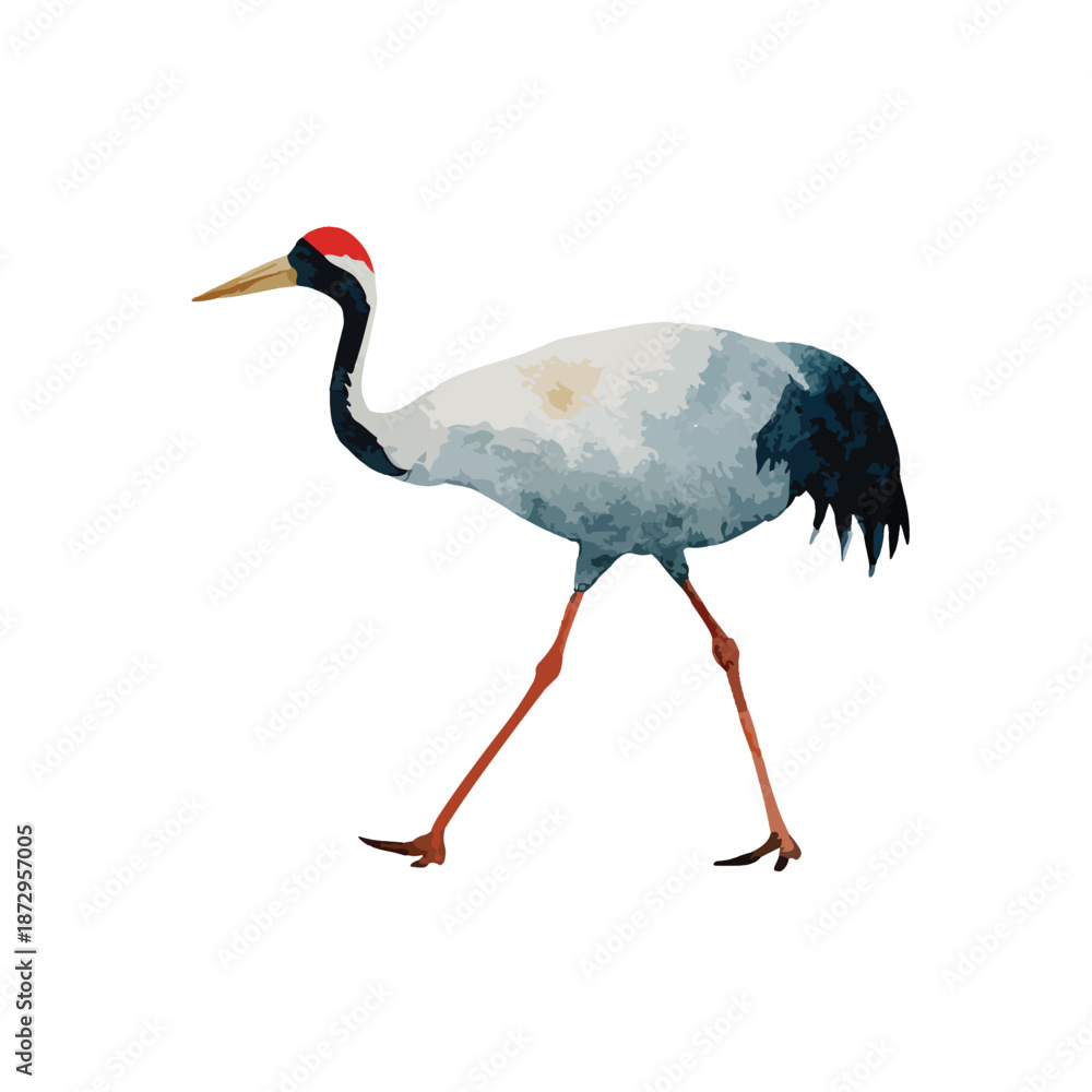 Obraz premium Elegant Redcrowned Crane Watercolor Illustration.