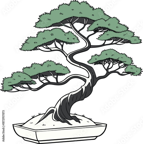 Traditional Japanese Bonsai tree in decorative ceramic pot minimalist vector illustration for Zen garden and meditation concepts
