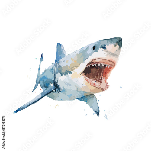 Fierce Great White Shark Watercolor Illustration with Jaws Open.