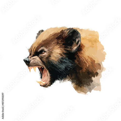 Fierce Wolverine Head Roaring Digital Watercolor Illustration.